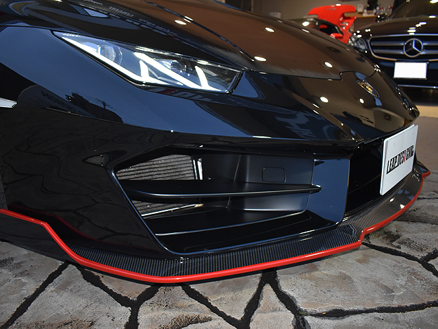 �����{���M�[�j�@�E���J���X�p�C�_�[�F