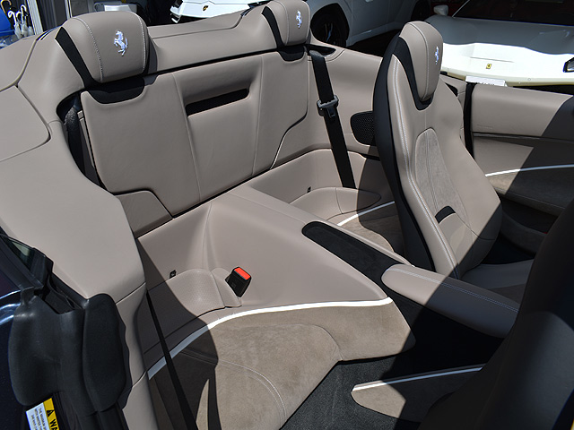 �t�F���[���@���[�}�X�p�C�_�[�F