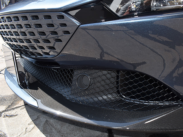 �t�F���[���@���[�}�X�p�C�_�[�F