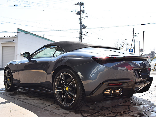 �t�F���[���@���[�}�X�p�C�_�[�F