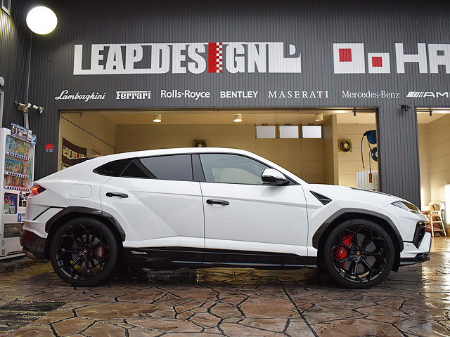 �����{���M�[�j�E���X�@�y���t�H���}���e�F��