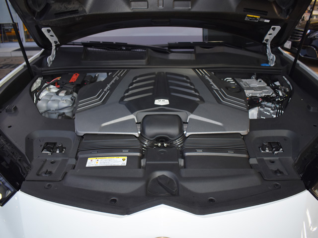 �����{���M�[�j�E���X�@�y���t�H���}���e�F