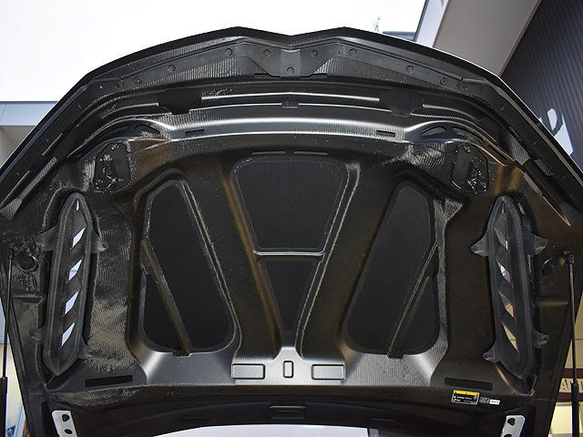 �����{���M�[�j�E���X�@�y���t�H���}���e�F