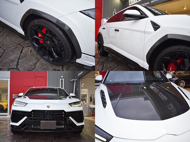 �����{���M�[�j�E���X�@�y���t�H���}���e�F