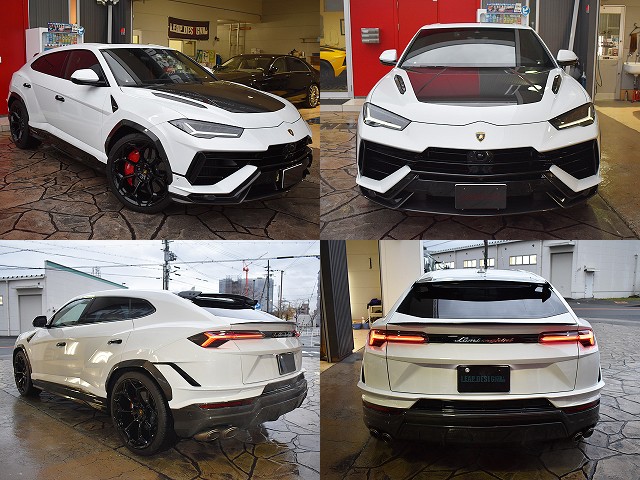 �����{���M�[�j�E���X�@�y���t�H���}���e�F