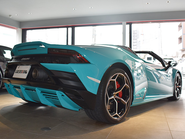 �����{���M�[�j�E���J��EVO�X�p�C�_�[�F���p