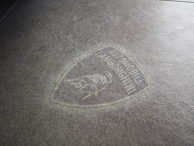 �����{���M�[�j�E���J��EVO�X�p�C�_�[�F