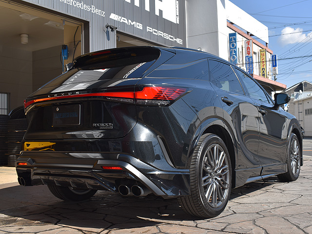 ���N�T�XRX500���@�e�X�|�[�c�p�t�H�[�}���X�F���p